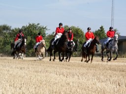 308411_10151090368838585_1516895956_n